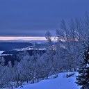  Svann, , 71  -  19  2015    !