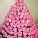 ���� ��������, ���, 47 ��� - ��������� 8 ������� 2015 � ������ ������ ��������