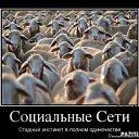  , , 49  -  21  2015   ߻