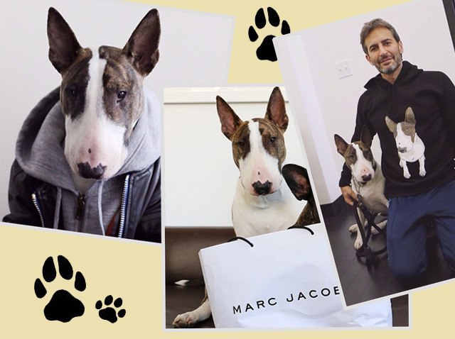 Звездой рекламной кампании Marc Jacobs стал ... - 2