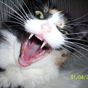 --!!!!!!!!!! !!!!!!!!!!!!!!!!!!    