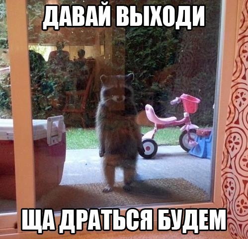������������ ���� - 3 ����� 2015 � 14:26