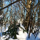 ���� �������� ���� ����������, ��������, 72 ���� - ��������� 5 ������� 2015 � ������ ���� ������� � ���� ������