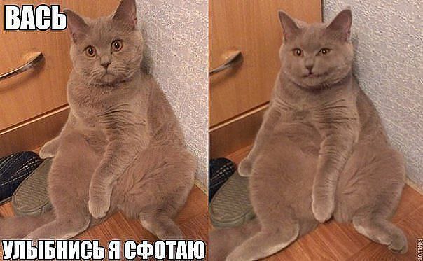 Ivan Karataev - 25  2015  12:20