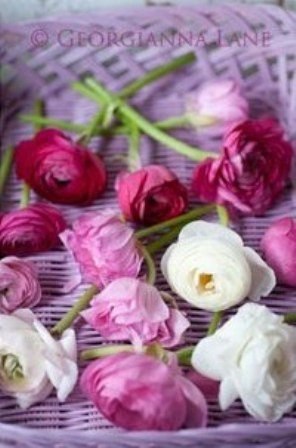 The Lady - 9  2015  21:09 - 4