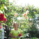 Vera, , 60  -  2  2015    