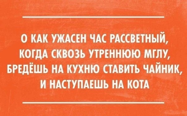   ,  : <a href=