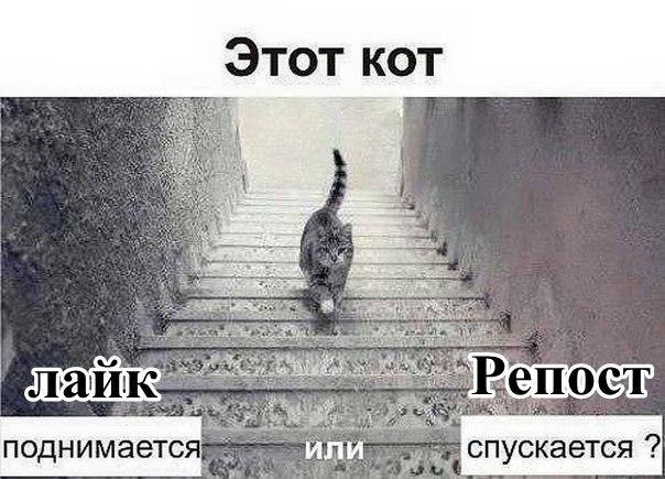    :D - 31  2015  03:56