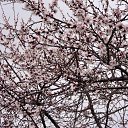 ���� �����