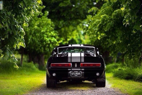 Shelby GT500E - 3