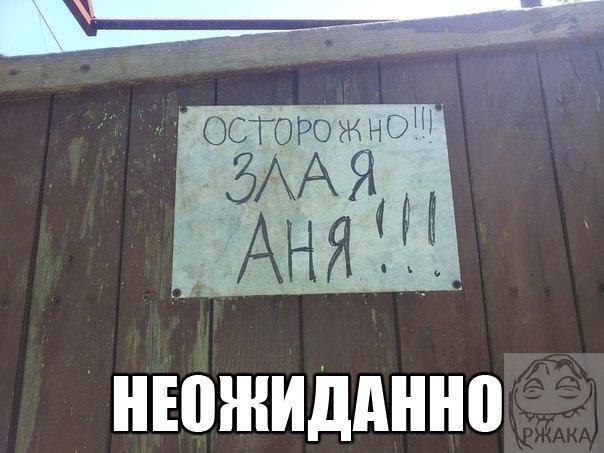     - 11  2015  17:01