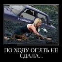 ���� ��������, ������, 33 ���� - ��������� 7 ������� 2015 � ������ ���������