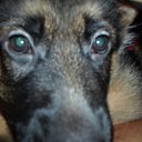 ���� Alexandr, �����-���������, 45 ��� - ��������� 11 ������� 2015 � ������ �����