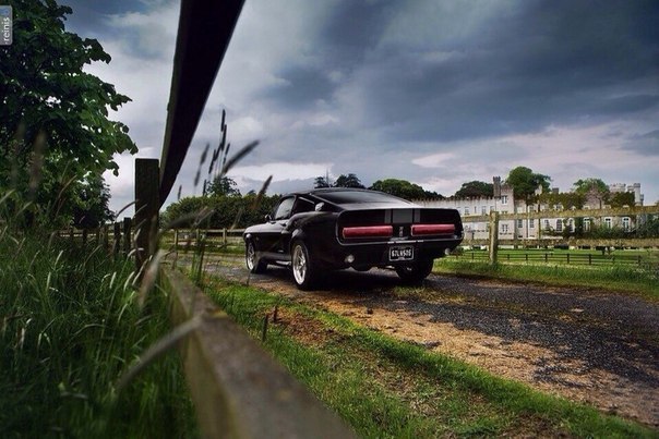 Shelby GT500E - 4