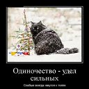 ���� ����, ������, 54 ���� - ��������� 10 ������ 2015 � ������ ������ ��������