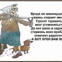 ���� ����� �., ������������, 61 ��� - ��������� 15 ������ 2015 � ������ ������ ��������