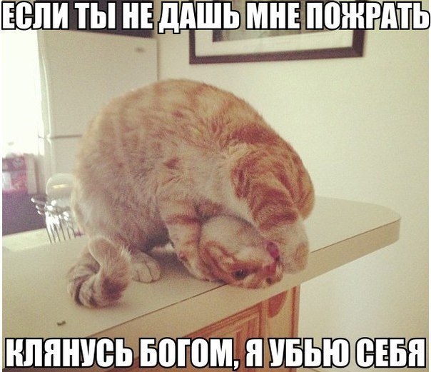   | , ,  - 5  2015  18:04
