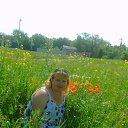 ���� ����� ������, ������ ���, 49 ��� - ��������� 24 ������ 2015 � ������ ���� ����������