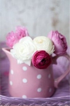 The Lady - 9  2015  21:09 - 5