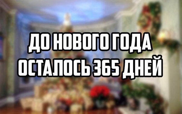SportFeed - 2  2015  14:04