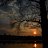 ���� ������, ����, 46 ��� - ��������� 15 ������� 2015