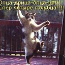 ���� ���������, ������, 30 ��� - ��������� 11 ������ 2015 � ������ ���� ����������