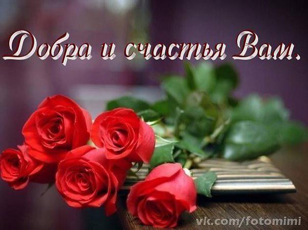 Natalia - 12  2015  20:53
