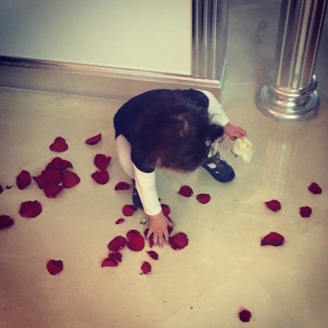 �������� ���� - 1 ������ 2015 � 00:00