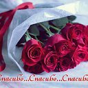 ���� �������, �������, 54 ���� - ��������� 6 ������ 2015 � ������ �������� ��������