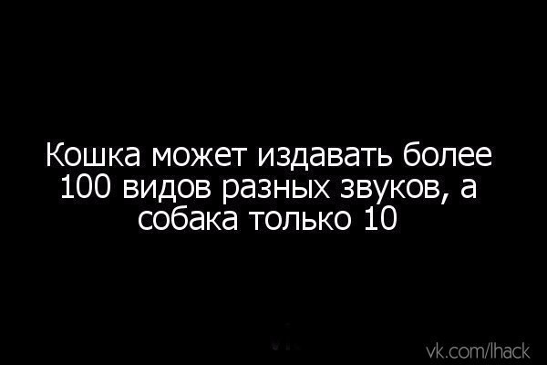 ������� - 16 ������ 2015 � 21:07