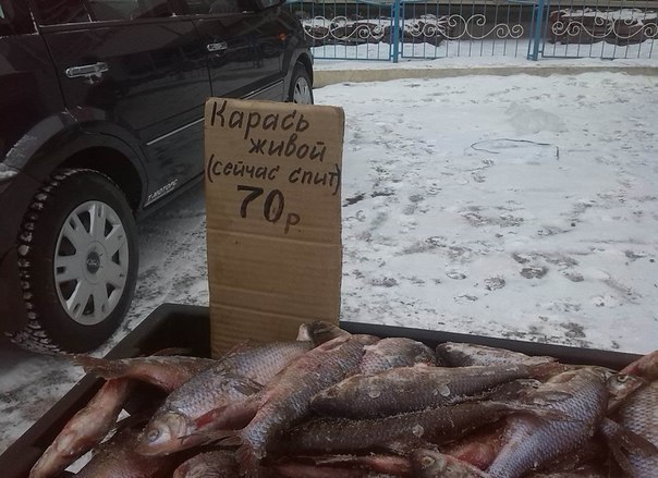   ...   https://fotostrana.ru/away?to=/sl/KE2