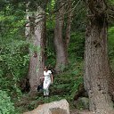  , , 73  -  19  2014   л