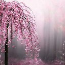 ���� �����, ������������ - ��������� 29 ����� 2015 � ������ ������ ��������