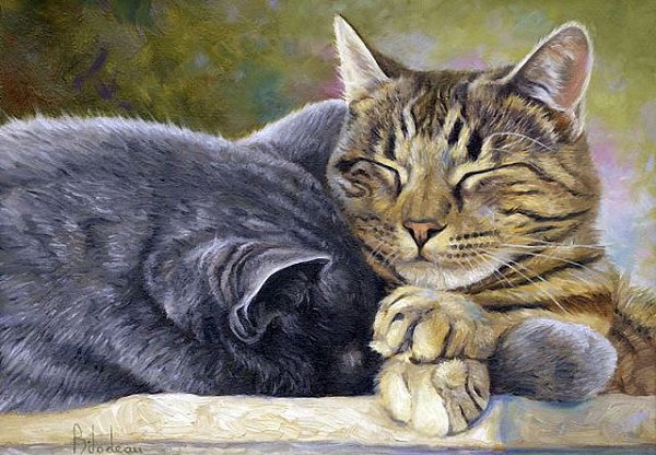 Кошки... Художница Lucie Bilodeau. У кого есть кошка, тот может не бояться одиночества. (Даниель ... - 3