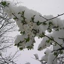 ���� �������, ������, 56 ��� - ��������� 21 ������ 2015 � ������ ���� ����