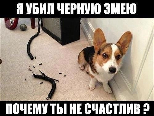  , - 1  2015  18:13