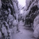 ���� ������, ����������� - ��������� 5 ������ 2015 � ������ ������ ��������