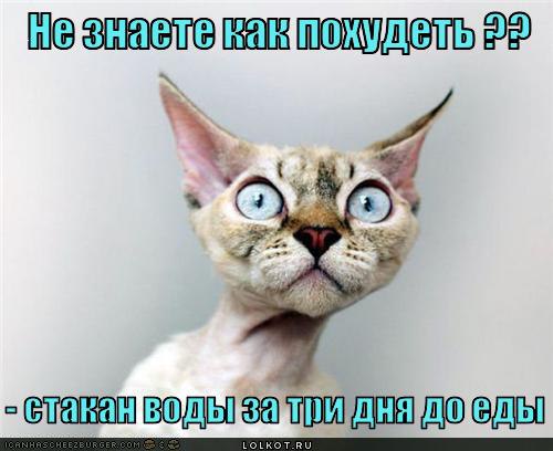 ��� - 15 ������� 2015 � 21:38