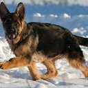 ���� �������, �����-���������, 45 ��� - ��������� 21 ������� 2015 � ������ ������ ��������