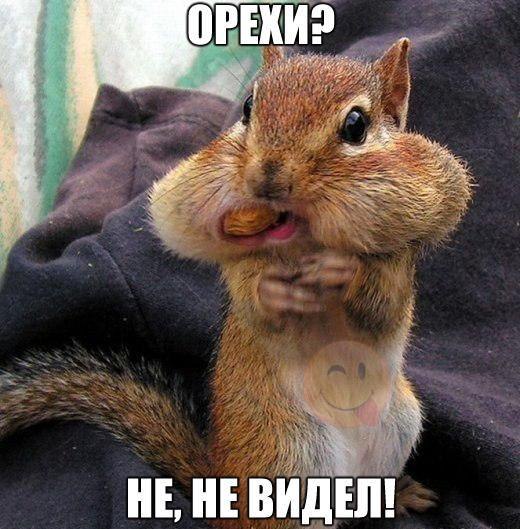 ������������ ���� - 18 ����� 2015 � 15:37