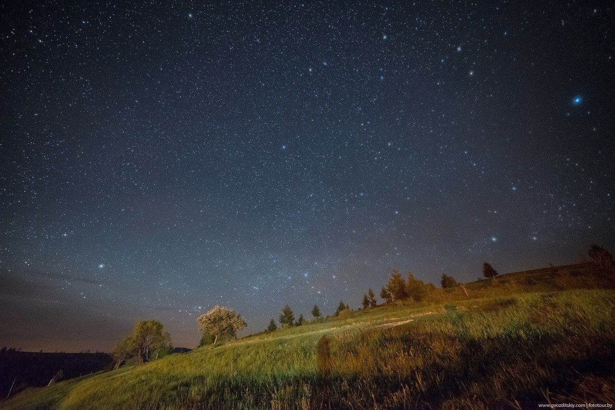 Звездное небо в поле. Звездное небо. Летнее ночное небо. Ночное небо в поле. Ночное летнее небо с звездами.