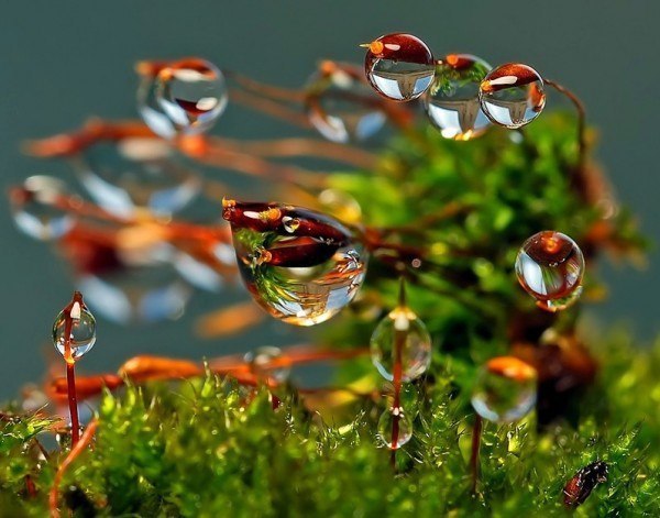 ,      ,        . ...