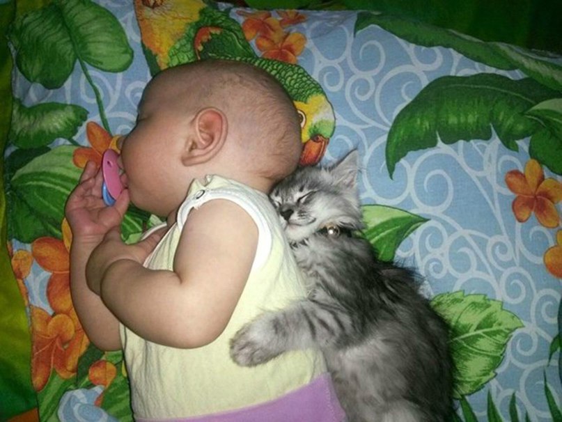 10  ,     .   https://fotostrana.ru/away?to=/sl/KE2 - 2