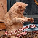 ���� �������, �������, 46 ��� - ��������� 18 ����� 2015