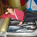  , -, 52  -  24  2014    