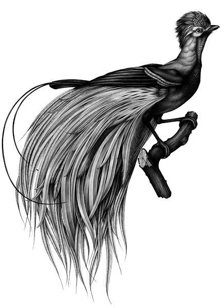 Art by Violaine & Jeremy - 3
