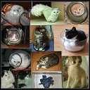 ���� ����, ������, 45 ��� - ��������� 21 ������ 2015 � ������ ���� ����������