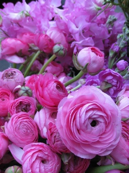 The Lady - 9  2015  21:09 - 3