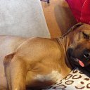 ���� ������ ������, ����, 75 ��� - ��������� 18 ������� 2015 � ������ ������ ��������