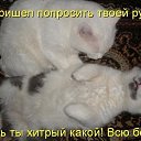 ���� ������, ������, 45 ��� - ��������� 3 ����� 2015 � ������ ������ ��������